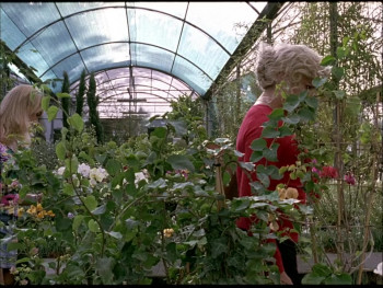 To Die Like a Man (2009) download