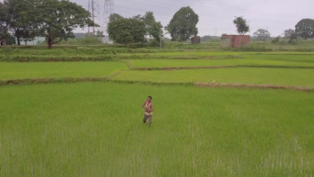 To Kill a Tiger (2022) download