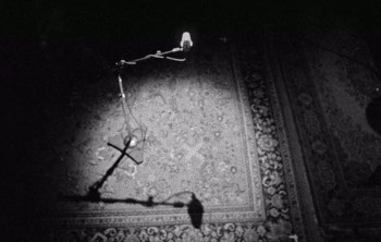 Tom Petty Somewhere You Feel Free (2021) download