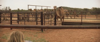 Tracks (2013) download