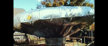 Trainwreck: Balloon Boy (2025) download