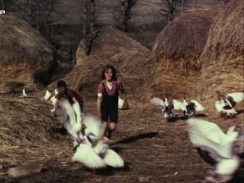 Tras-os-Montes (1976) download