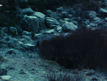 Tras-os-Montes (1976) download