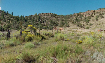 Two Plains & a Fancy (2018) download