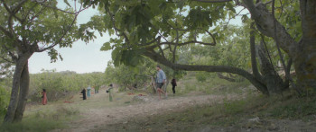 Under the Fig Trees (2021) download