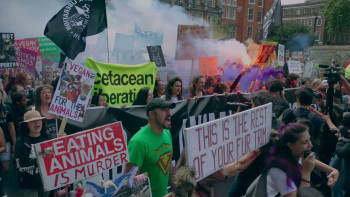 Undercover: Inside the Bunker (2025) download