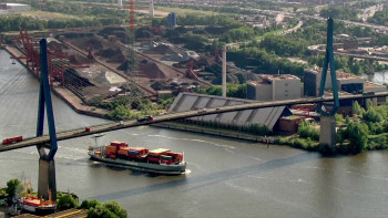 Urban Jungle (2016) download