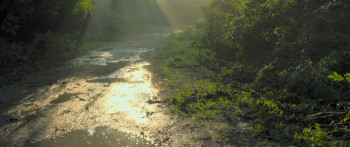 Uri: The Surgical Strike (2019) download