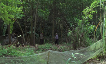 Viet and Nam (2024) download