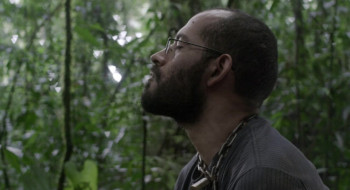 Violencia (2015) download