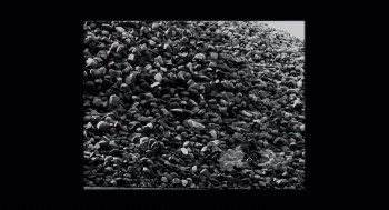 Visualist: Those Who See Beyond (2019) download