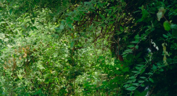 Vizontele (2001) download