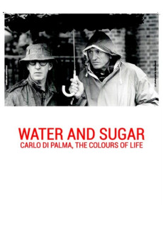 Water and Sugar (2016) download