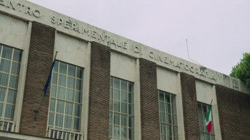 Water and Sugar (2016) download