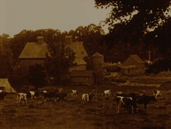 Way Down East (1920) download