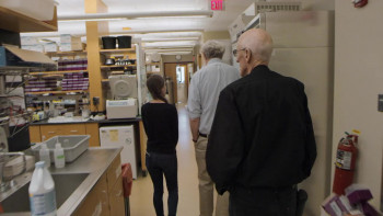 We Are As Gods (2021) download