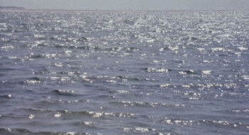 Welcome II the Terrordome (1995) download