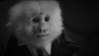 What Did Jack Do? (2017) download