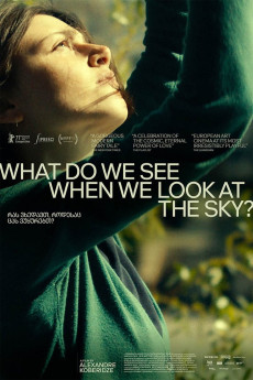 What Do We See When We Look at the Sky? (2021) download