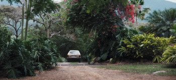 What You Wish For (2023) download