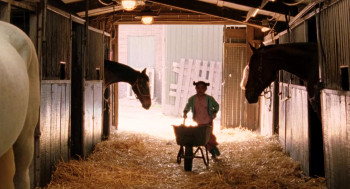 Where is Winky's Horse? (2007) download