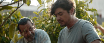 Where Life Begins (2022) download