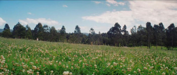 White Blood (2023) download