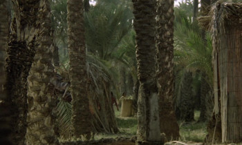 White Cannibal Queen (1980) download