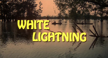 White Lightning (1973) download