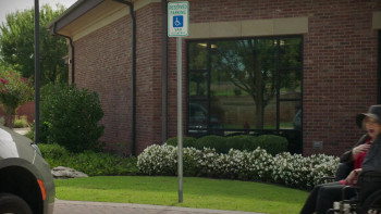 Who Could Kill a Sweet Old Lady (2026) download