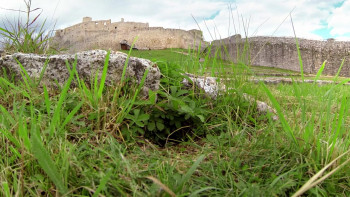 Wild Slovakia (2015) download