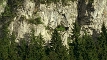 Wild Slovakia (2015) download