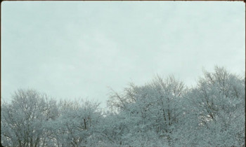 Winter Brothers (2017) download