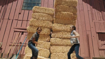 Wish Upon a Unicorn (2020) download