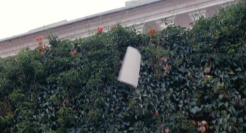 Witch from Nepal (1986) download