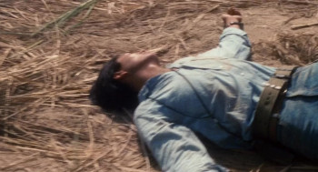 Witch from Nepal (1986) download