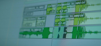 Within the Pines (2026) download