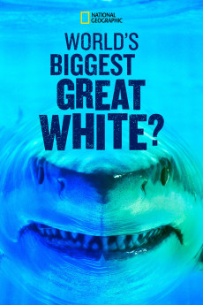 World's Biggest Great White Shark (2019) download