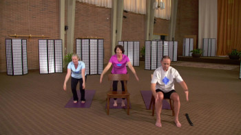 Yoga for the Rest of Us with Peggy Cappy: Easy Yoga for Diabetes (2016) download