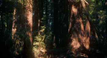 You Can Call Me Bill (2023) download