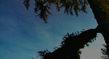 You Can Call Me Bill (2023) download