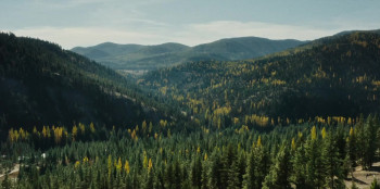 You Can't Run Forever (2024) download