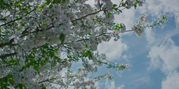 You Have No Idea (2023) download