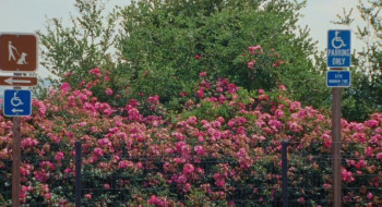 Zodiac Killer Project (2025) download